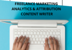 Freelance Marketing Analytics & Attribution Content Writer