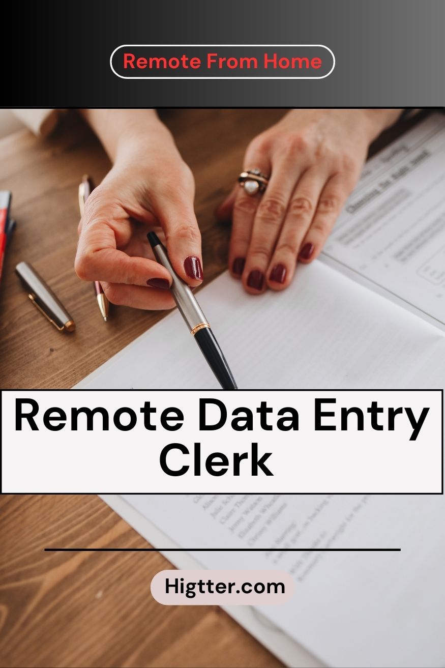 Remote Data Entry Clerk