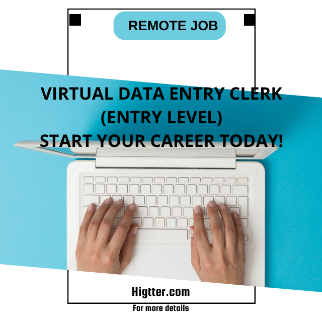 Virtual Data Entry Clerk (Entry Level) – Start Your Career Today!