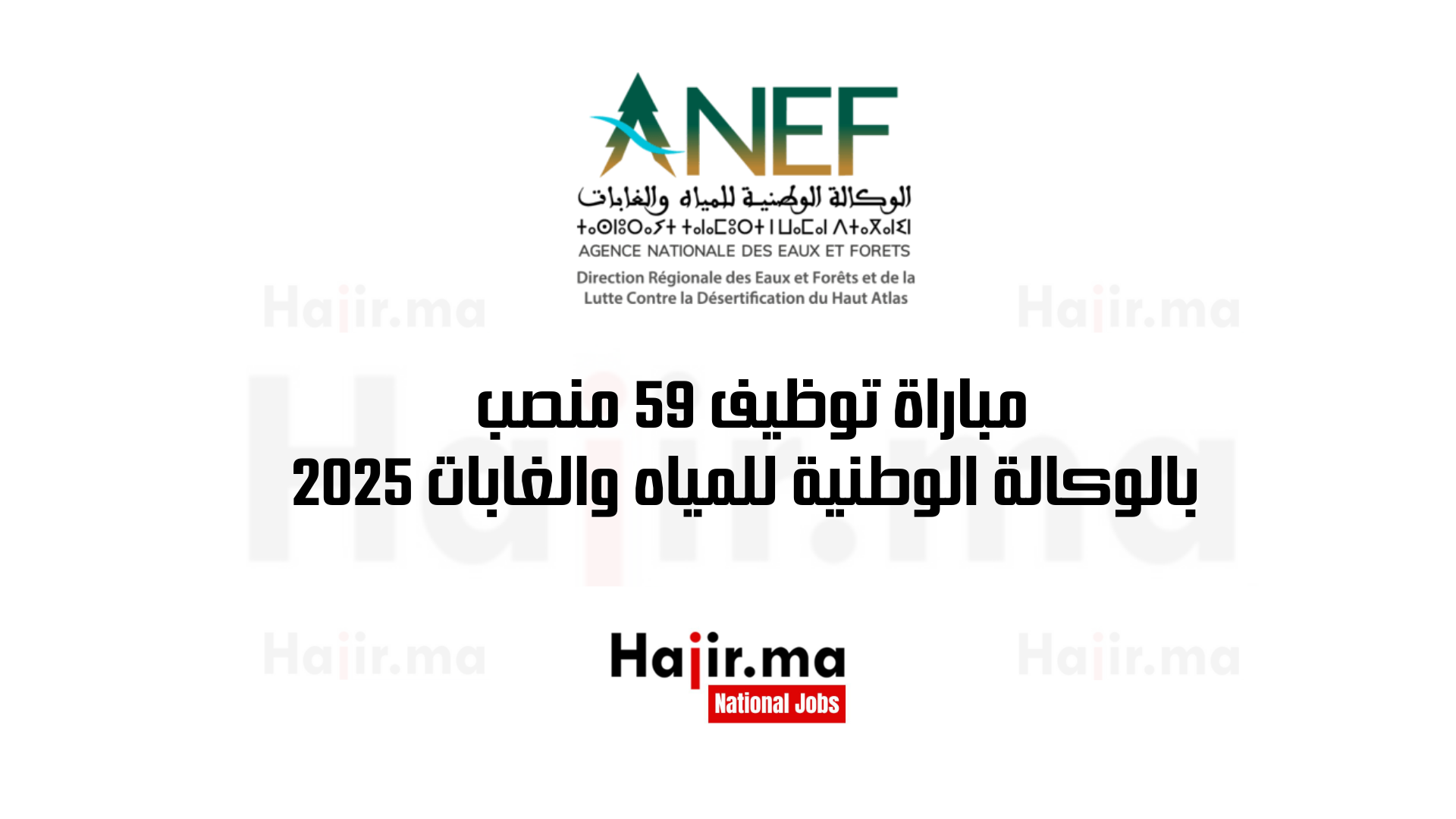مباراة توظيف 59 منصب بالوكالة الوطنية للمياه والغابات 2025